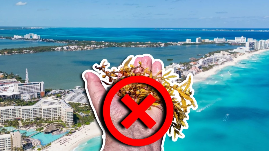 Estas son las playas sin sargazo en Quintana Roo HOY 28 de septiembre de 2025_ De Holbox, Cancún, Tulum a Xcalak.jpg