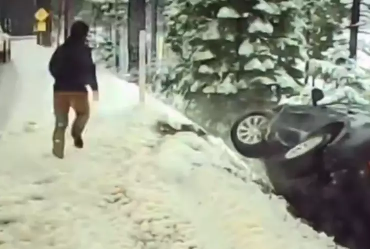 Rescatan a pareja y sus mascotas tras sufrir volcadura.png