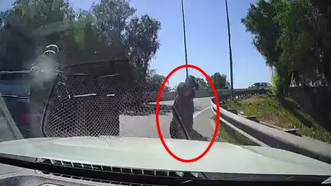 Ladrón atropellado en Chile