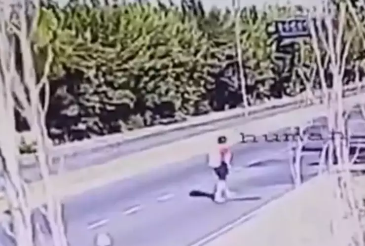 Conducía ebria y atropelló a un hombre.png