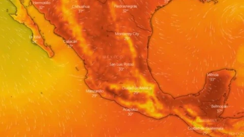 _hasta-cinco-ondas-de-calor-afectaran-la-megalopolis-entre-marzo-y-mayo-2026