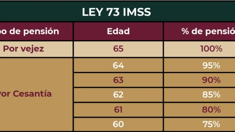Así-puedes-saber-si-estás-en-el-régimen-de-la-Ley-73-o-97-para-pensionarte