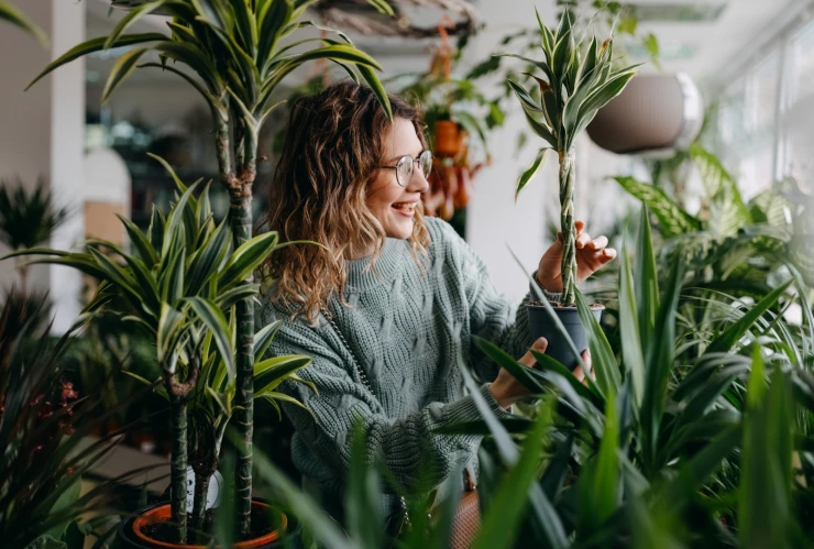 ¿Qué significa que alguien tenga muchas plantas en su casa, según la psicología?
