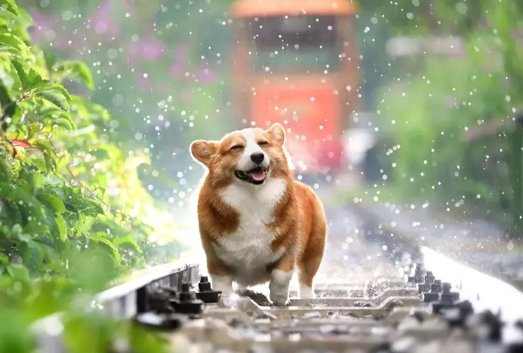 cuando inicia la temporada de lluvias en queretaro.jpg