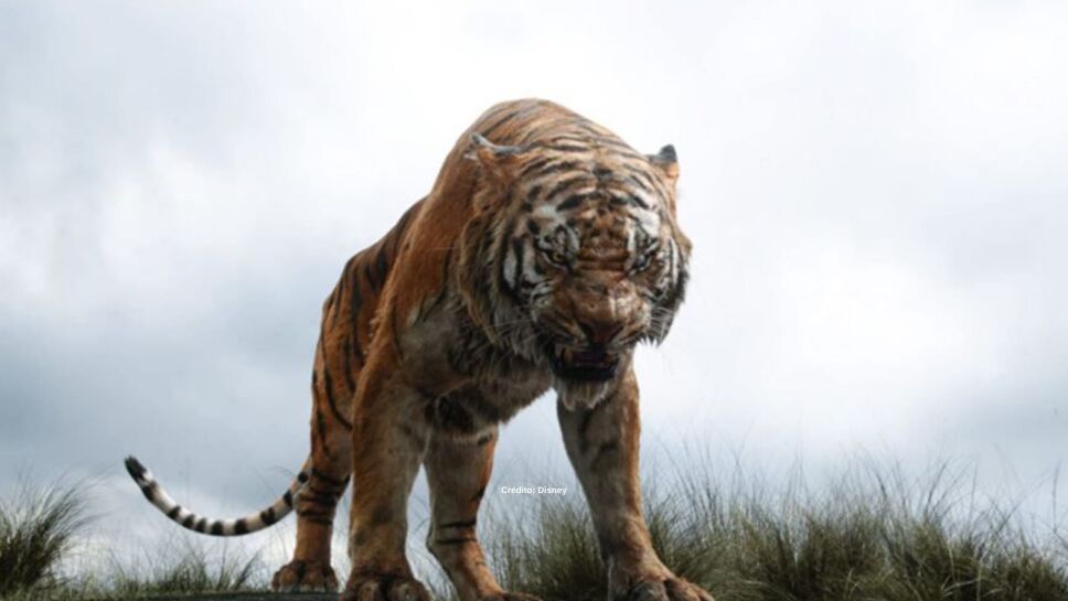 el-libro-de-la-selva-animales-4.jpg