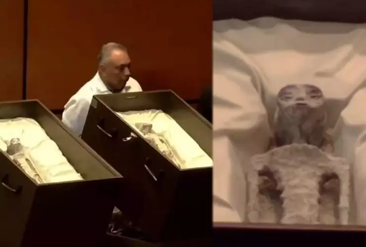 VIDEO: Jaime Maussan muestra cuerpos no humanos a la Cámara de Diputados