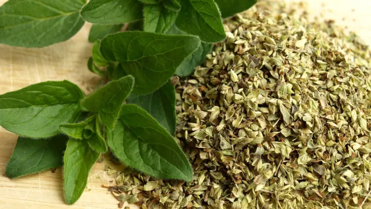 La planta que favorece la producción de colágeno y combate la artrosis
