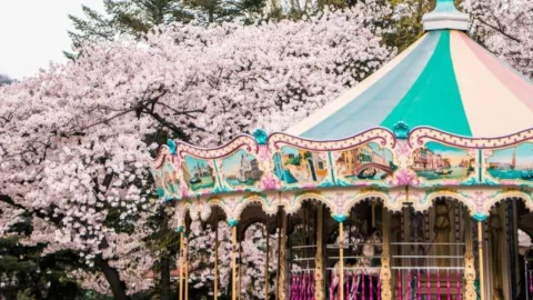 Costo de casetas desde la CDMX a la Feria de Puebla 2025: lo que debes saber