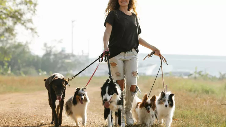 ¿Por qué caminar ayuda a tu memoria y cuánto tiempo recomiendan hacerlo?