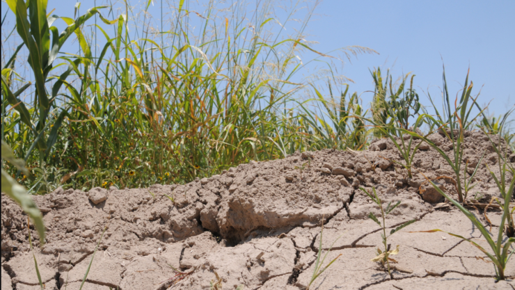 sequía-extrema-durango-aispuro-mañanera