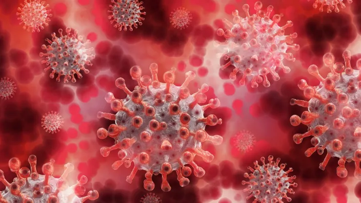 Alerta de aumento de Sarampión: descubre cómo evitar contagios