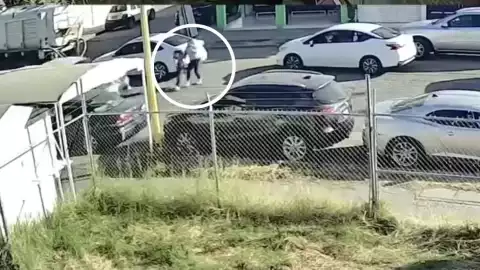 Atropelladas Aguascalientes.jpeg