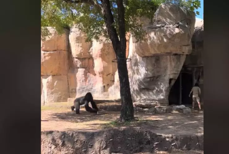 Premios Oscar 2024 EN VIVO hoy por TV Azteca_ ¿Quiénes son los ganadores_.jpg
