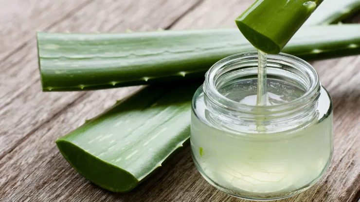 Así puedes hacer una crema facial con aloe vera para el cuidado de la piel