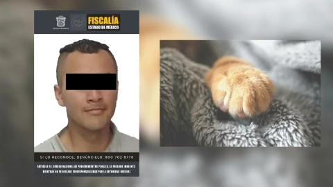 Un hombre de 33 años fue detenido al ser investigado de matar gatos en Naucalpan.