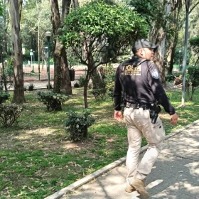 Mueren perros envenenados en Parque España: esto se sabe