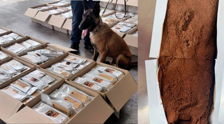 Cocaína en cargamento de café; así fue detectada una tonelada en el AICM