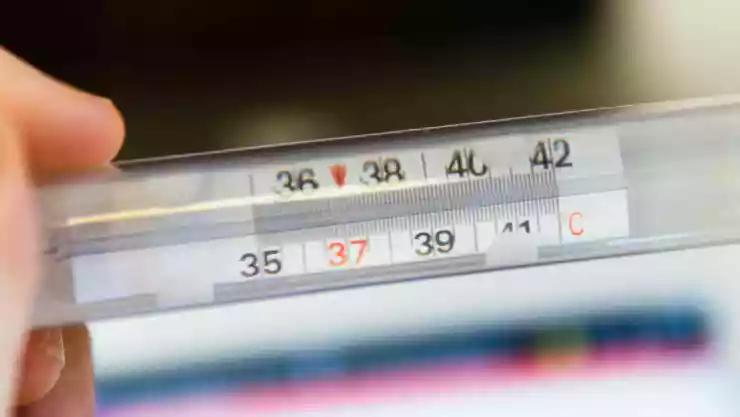 ¿Continuarán las LLUVIAS_ Revelan las temperaturas MÁXIMAS del clima hoy en Yucatán, domingo 8 de junio de 2025