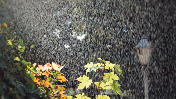 Huracán Genevieve provoca lluvias intensas hoy en México: Estados afectados