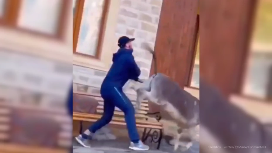 burro le dio un patadón a un hombre que intentaba cabalgarlo