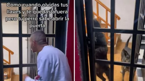 joven olvida las llaves de su casa y toca para que su perrita le abra la puerta.jpg