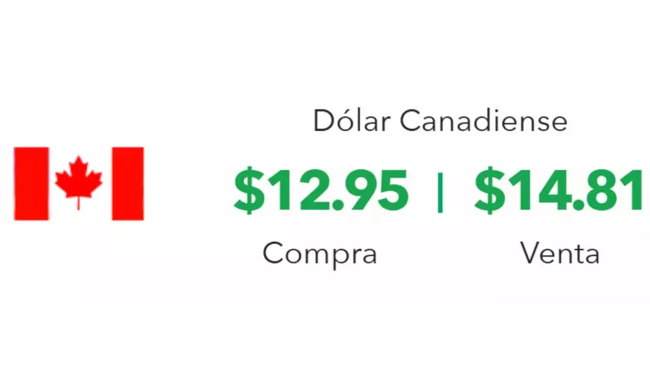 Precio del dólar en México hoy 25 de febrero 2025, ¿cuál es el tipo de cambio