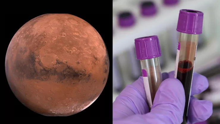 Crea cemento a base de sangre humana para construir en Marte