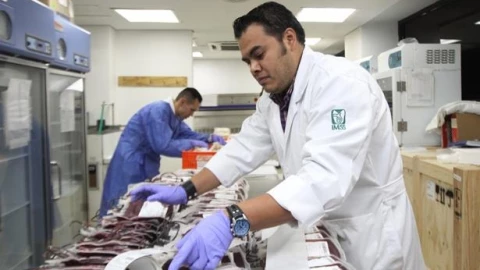 IMSS donación plaquetas.jpeg
