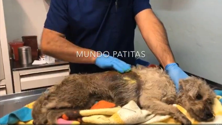 WhatsApp Image 2019-11-05 at 09.47.16.jpeg