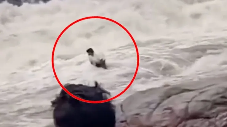 Influencer pierde la vida al ser arrastrado por una cascada | VIDEO
