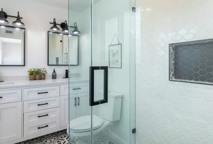 ¿Cómo eliminar el moho de la puerta de la regadera?