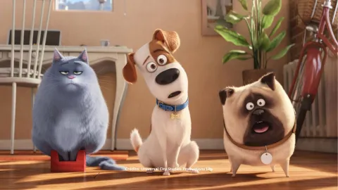 Vida secreta de tus mascotas