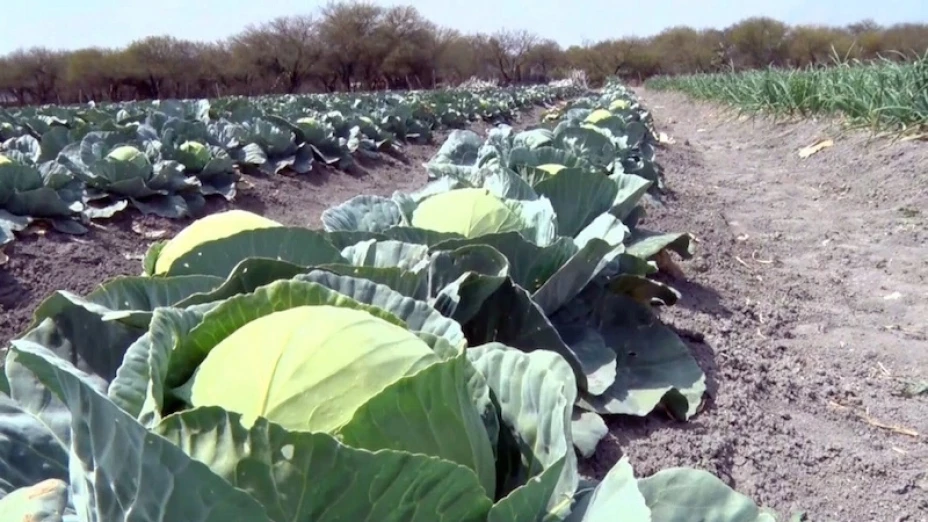 Premio nacional del agua