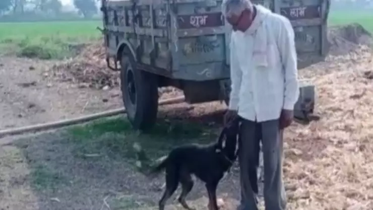 hombre testamento perro india .jpg