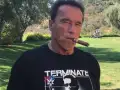 Arnold-Schwarzenegger-detective-en-el-kinder
