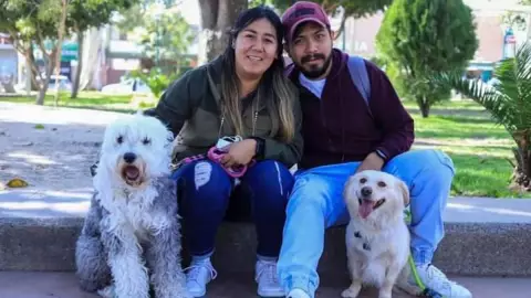 Esterilización de mascotas en León.- 