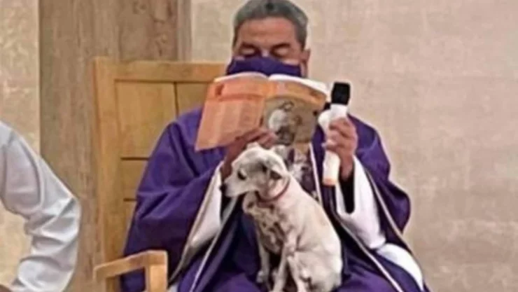 sacerdote-cuida-perro-misa (1).jpg