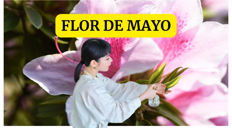 Flor de mayo