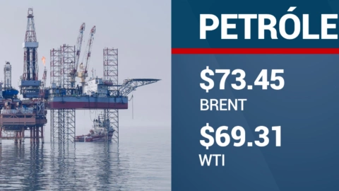 Precio del dólar en México hoy 19 de noviembre 2024