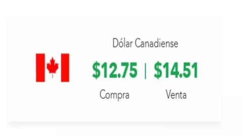 Tipo de cambio:Precio del dólar canadiense hoy 24 de diciembre del 2024 en México