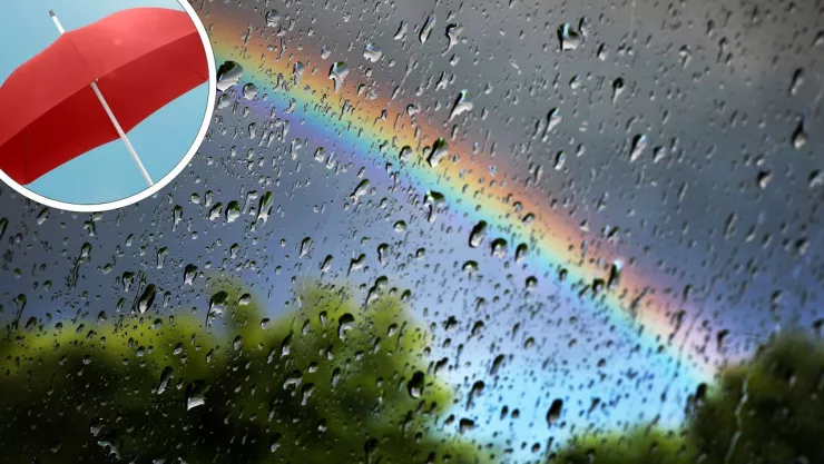 Clima para Tijuana hoy sábado 8 de febrero de 2025 ¿Cuál es el pronóstico del tiempo de Baja California por municipios?