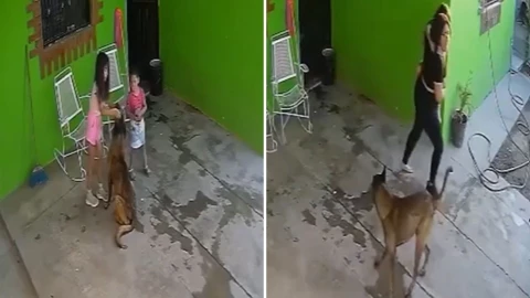 Niña atacada por perro en Coahuila video