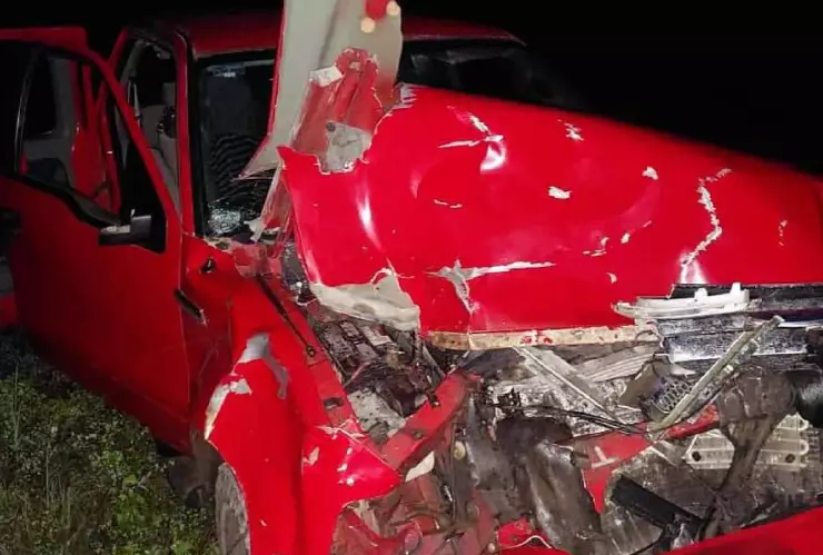 FOTOS_ Accidente carretero deja un toro sin vida y una camioneta destrozado en Yucatán