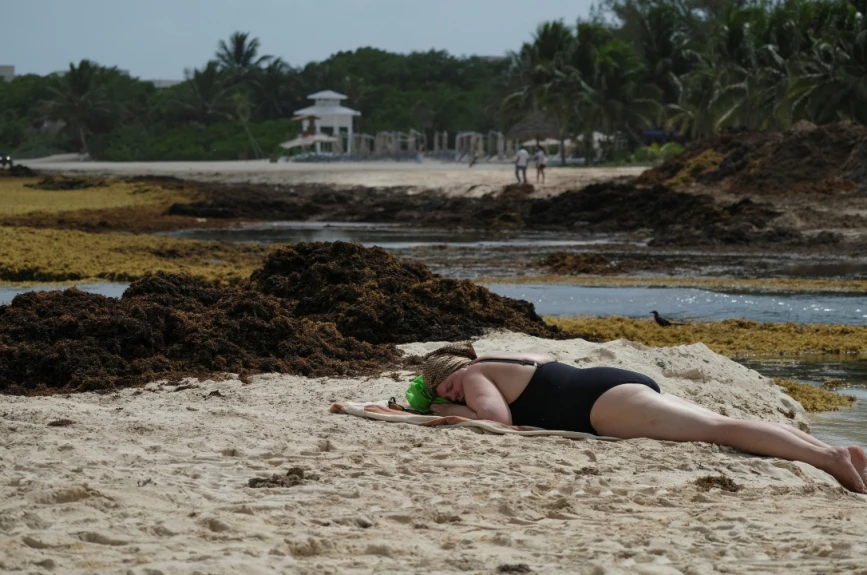 Alerta máxima en la Costa Maya de Quintana Roo: Playas de Mahahual y Xcalak invadidas de Sargazo; más de 3 mil toneladas afectan al turismo y la vida marina.