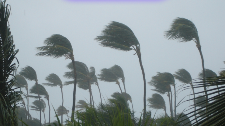 Impactará la tormenta tropical ‘Bertha’ a México.