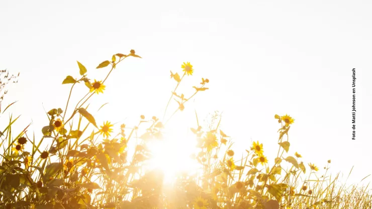 En este horario del d&iacute;a debes evitar exponer tu piel a los rayos del sol