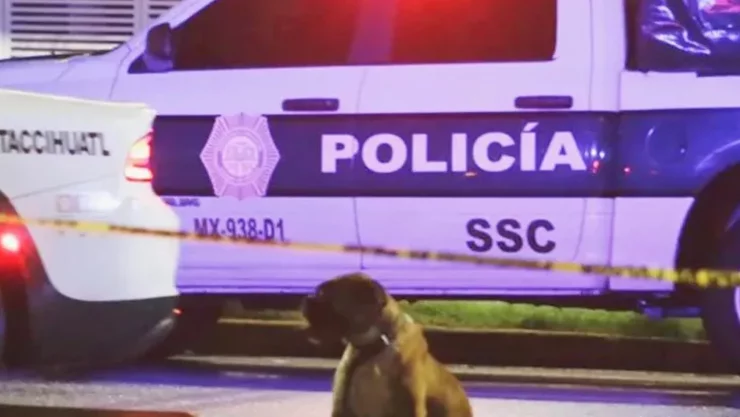 Perrito se niega a dejar el cuerpo de su dueño atropellado en Iztacalco