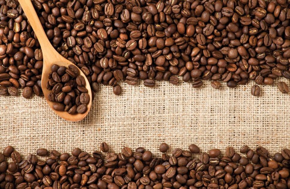 Los granos de café en realidad son huesos de fruta Foto Especial