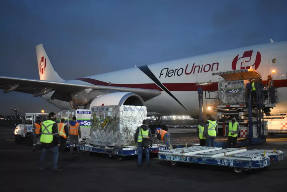 ARRIBO ASTRAZENECA2.jpeg