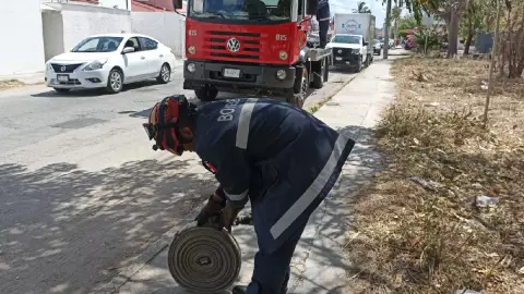 VIDEO_ Bomberos sofocan incendio en un parque al norte de Mérida